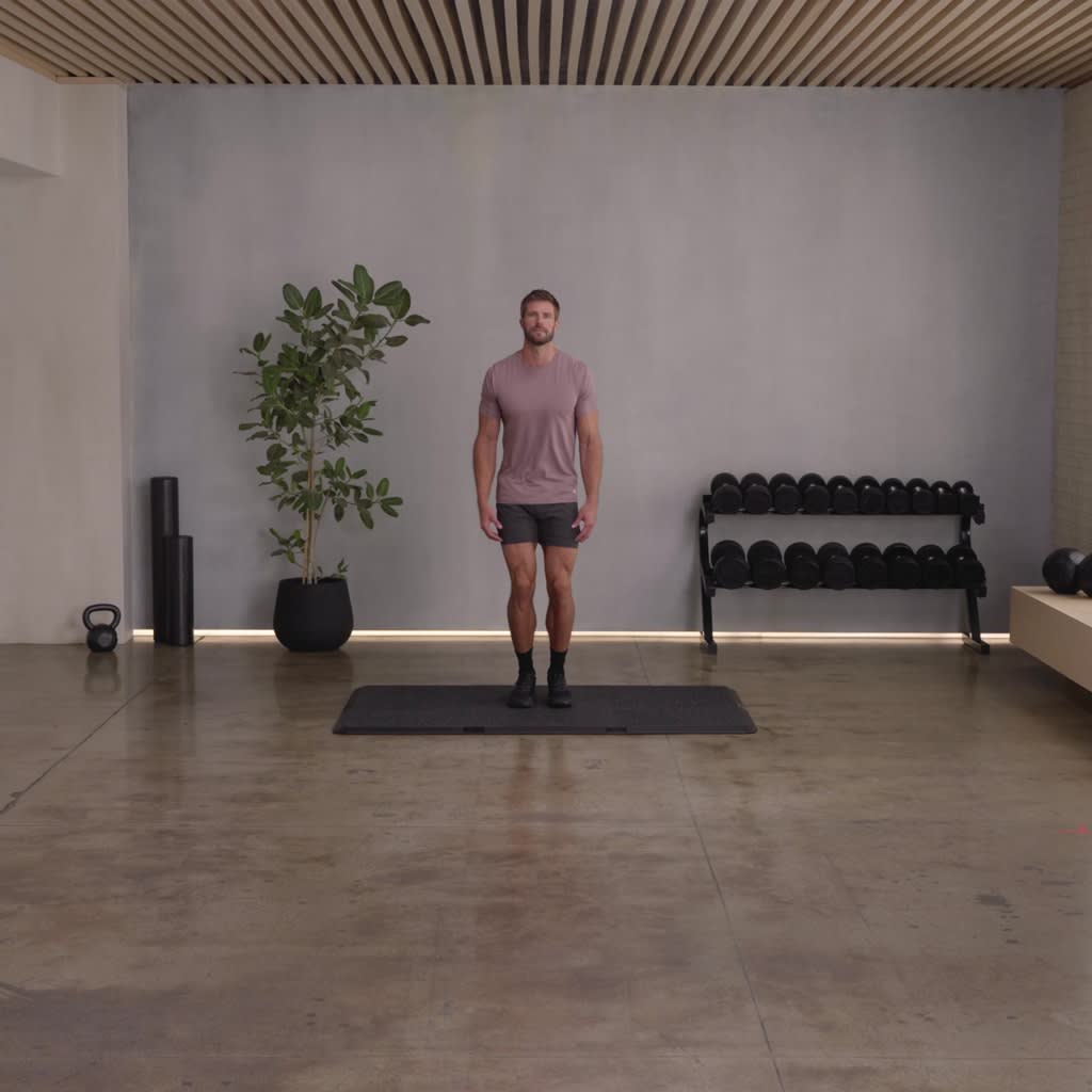 Full Body Dumbbell Training
